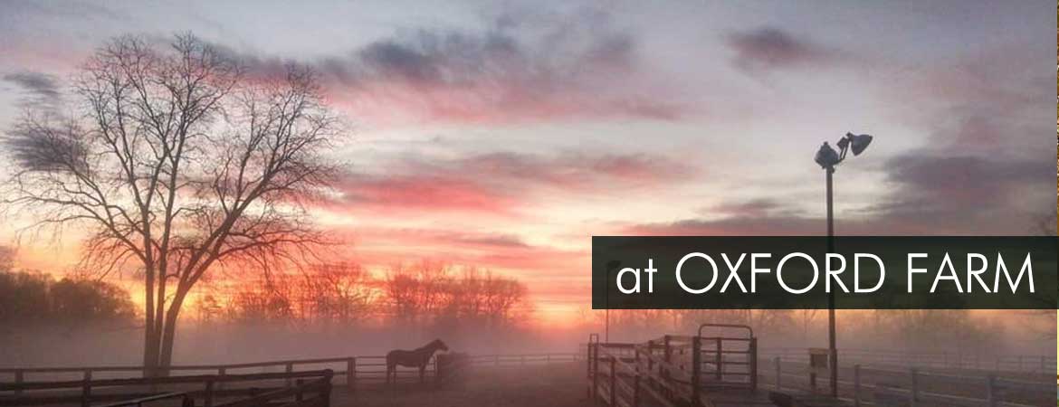 Oxford Farm 