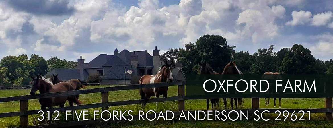 Oxford Farm 312 Five Forks Road, Anderson SC 29621 
